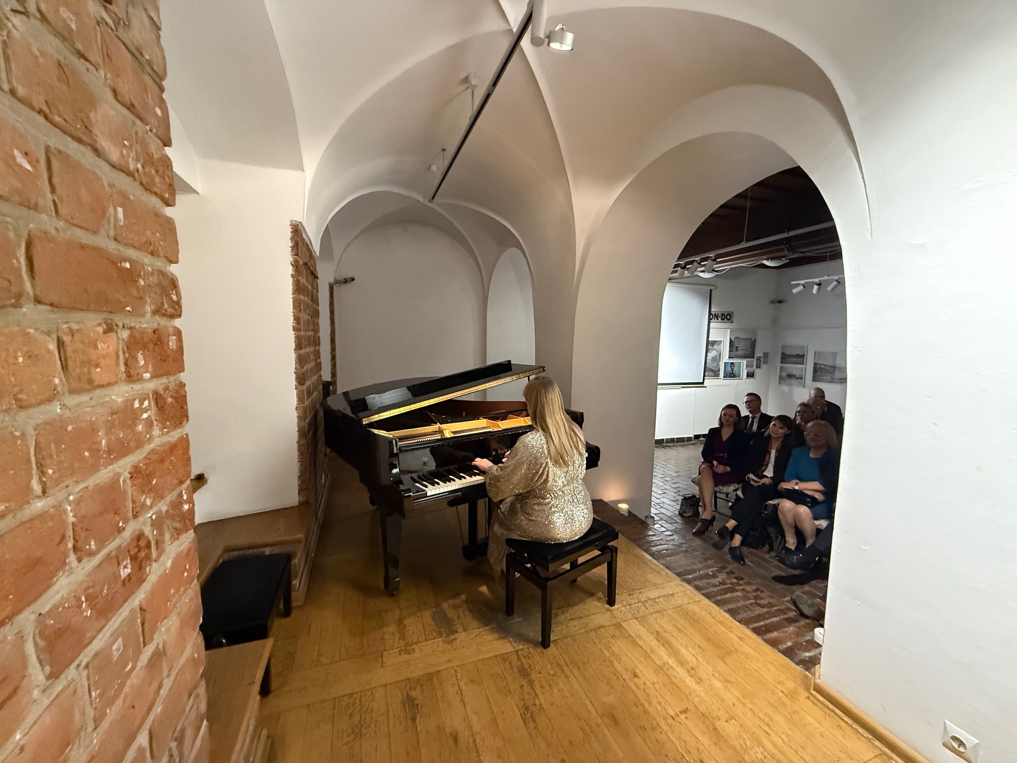 Zoom in  - A photo of the artist performing Chopin's works during the concert for guests of the High-level meeting