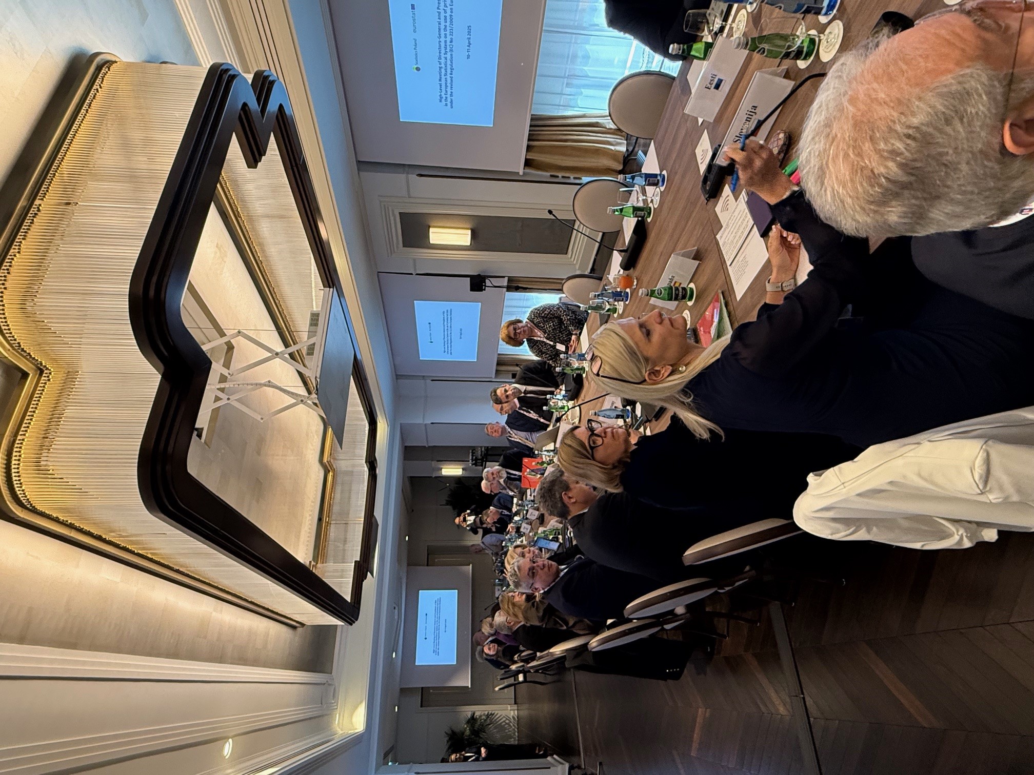 Zoom in  - Guests of the High-level meeting in the conference room. In the foreground: Apolonija Oblak Flander from Slovenia and Elena Manzanera Díaz from Spain