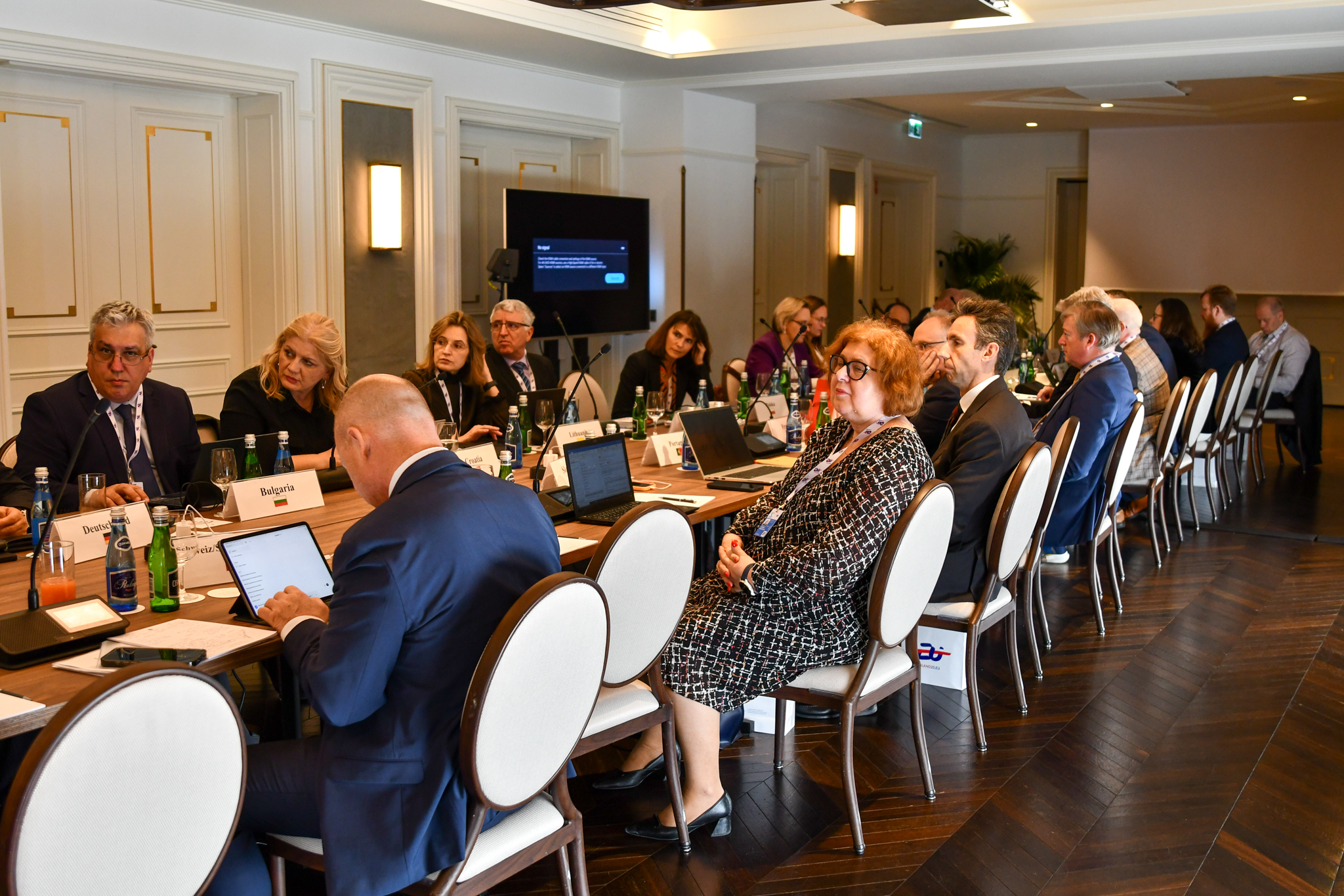Zoom in  - Guests of the High-level meeting in the conference room